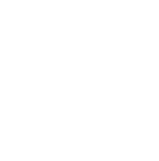 Betchi Logo